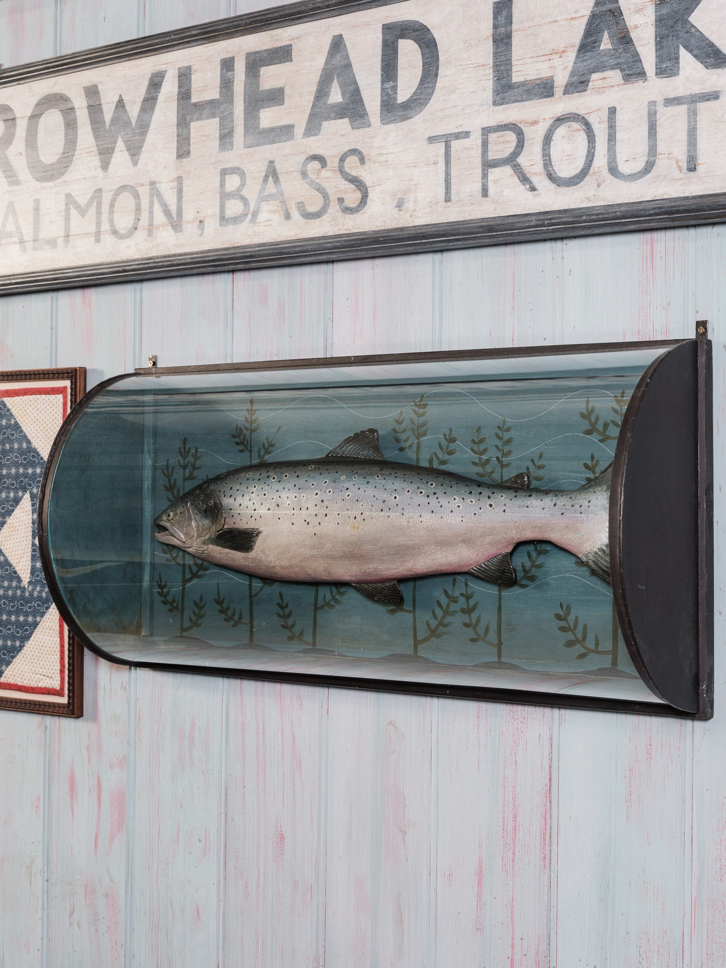 Decorative Cased Salmon