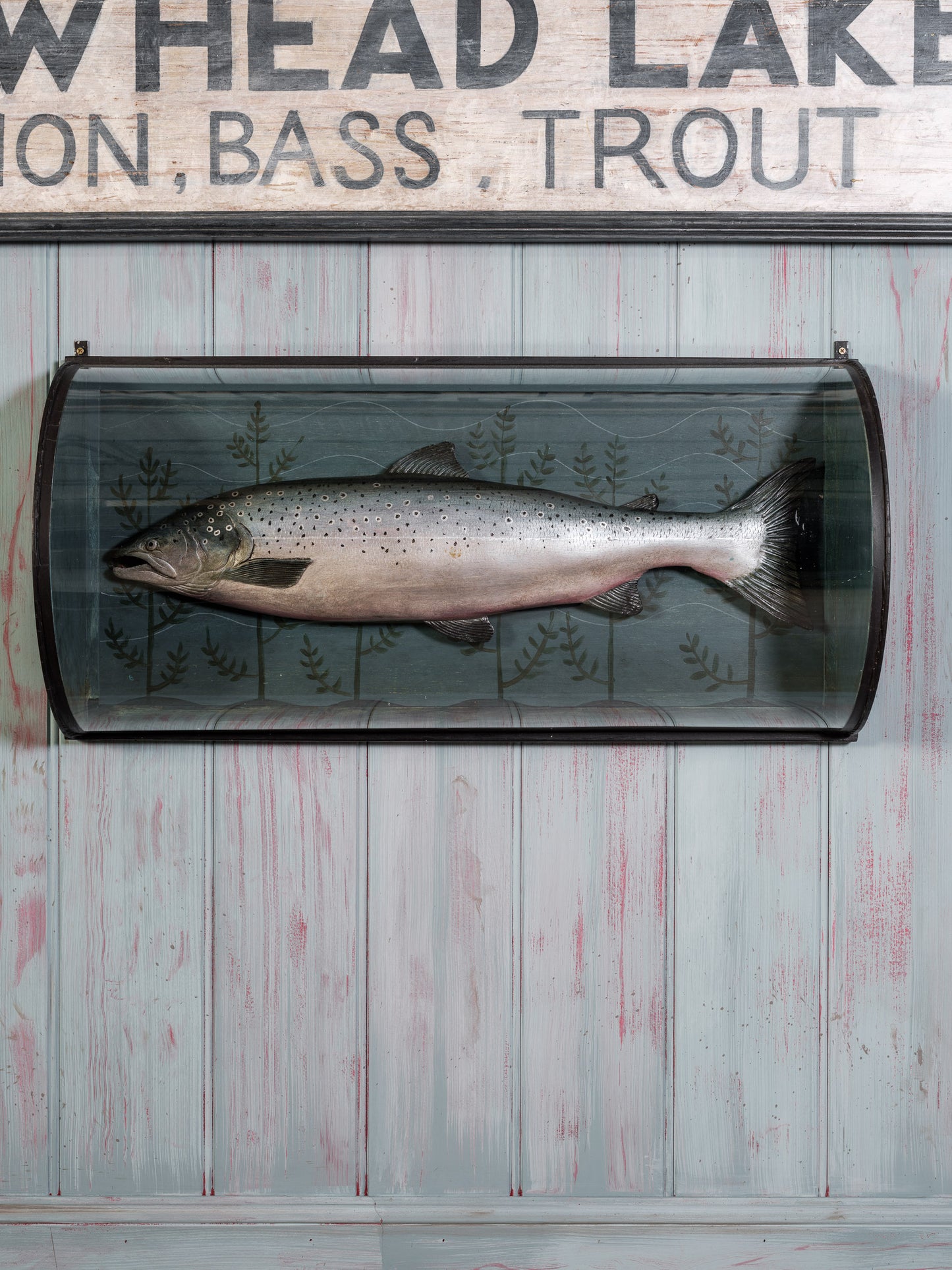 Decorative Cased Salmon