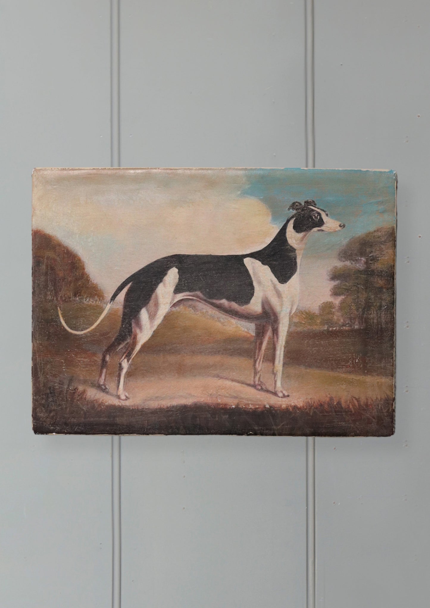 Greyhound Oil Painting