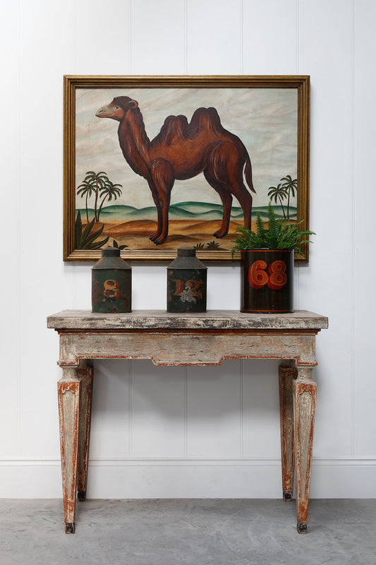 Bactrian Camel Painting - Framed
