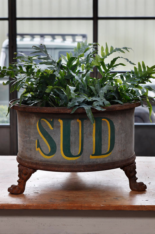 "Sud" Oversize Zinc Planters